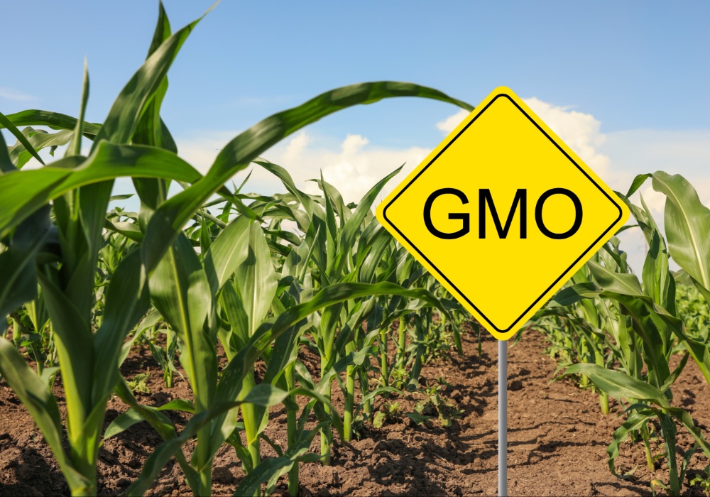 Evropski parlament ojačava podršku za deregulaciju GMO: Šta to znači za poljoprivredu?