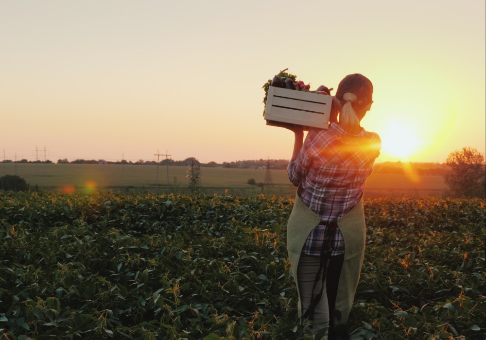 Organske farme podstiču veću upotrebu pesticida u okolini