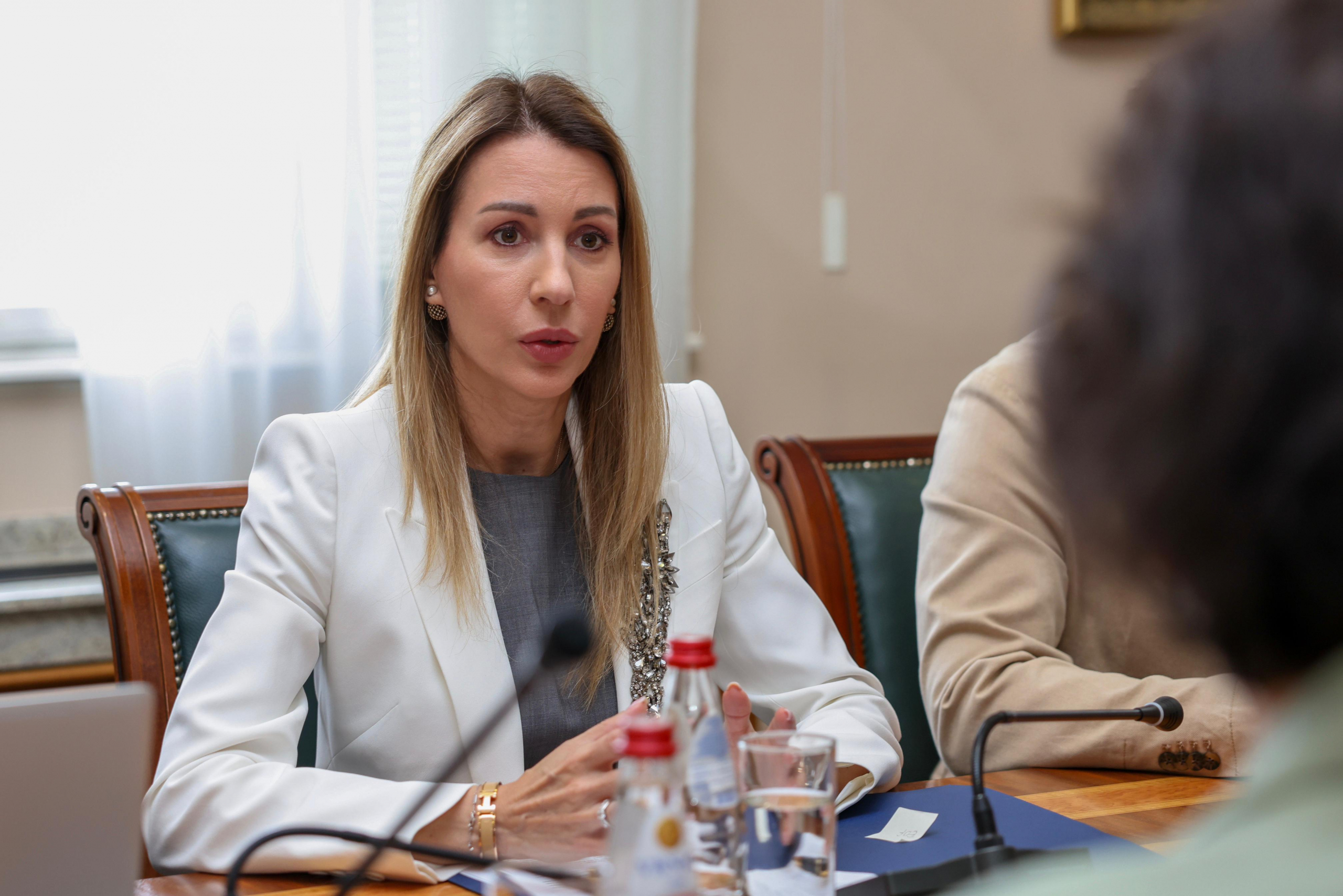 Ministarka Đedović Handanović razgovarala sa Savetom stranih investitora o saradnji u energetskom sektoru
