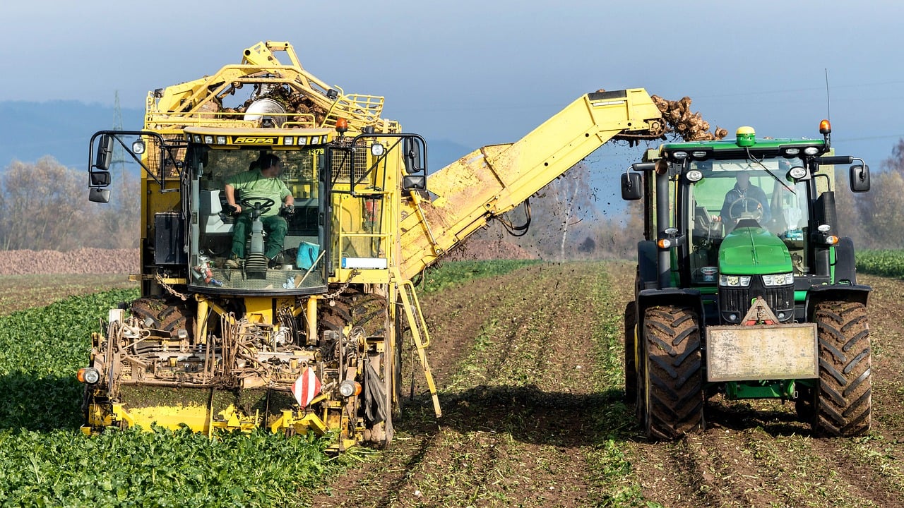 Slobodan Košutić (Sunoko): Šećerna repa donosi najveći profit poljoprivrednim proizvođačima