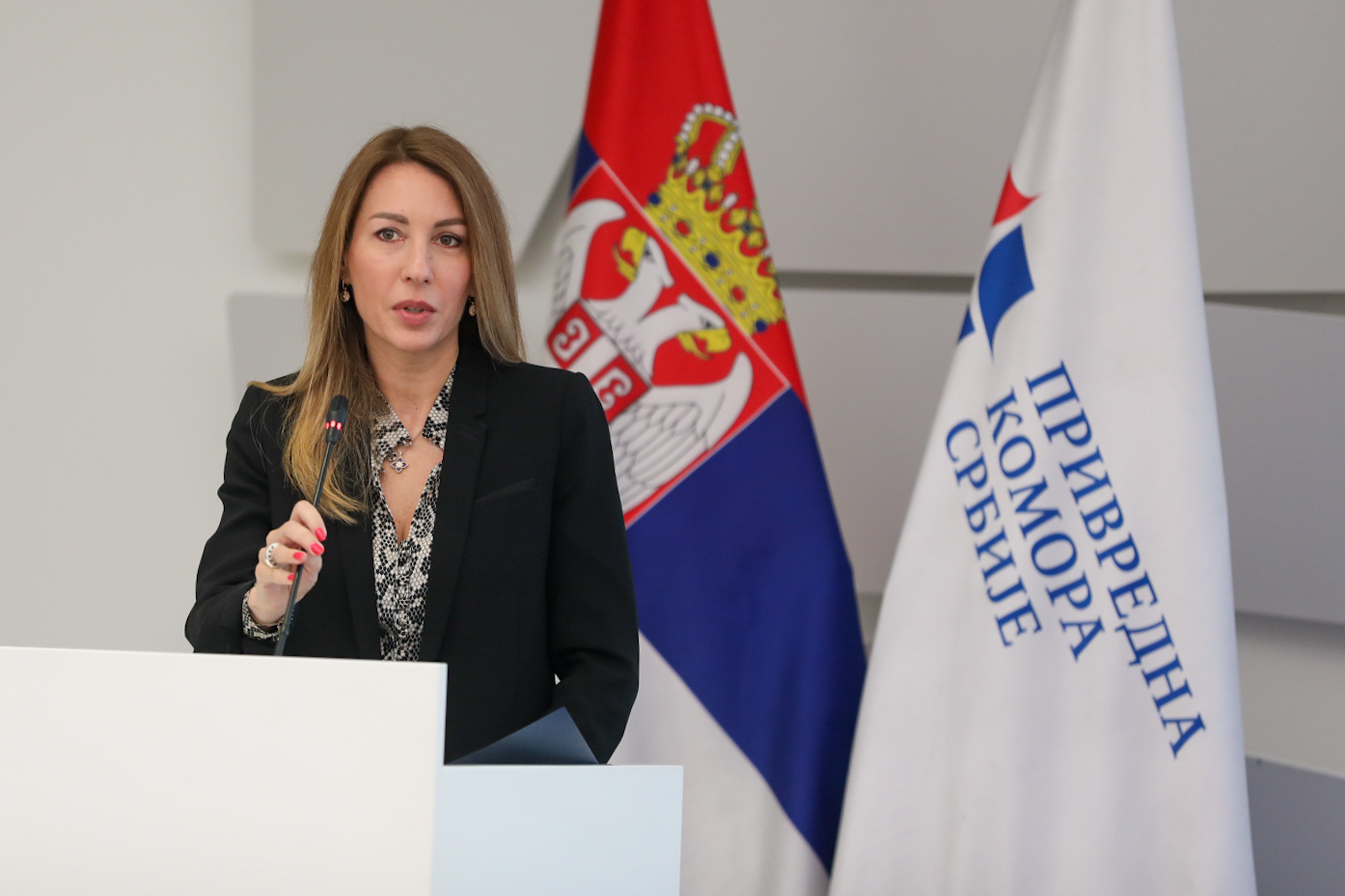 Ministarka Đedović Handanović: Usvojen Integrisani plan za energetiku i klimu - do 2030. godine 45 odsto struje iz obnovljivih izvora energije