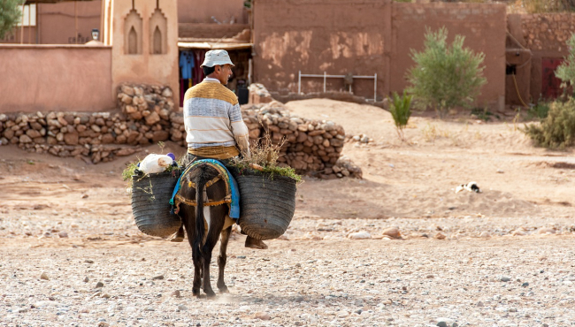 U Maroku u samo jednom gradu umro 21 čovek za 24 sata - od vrućine