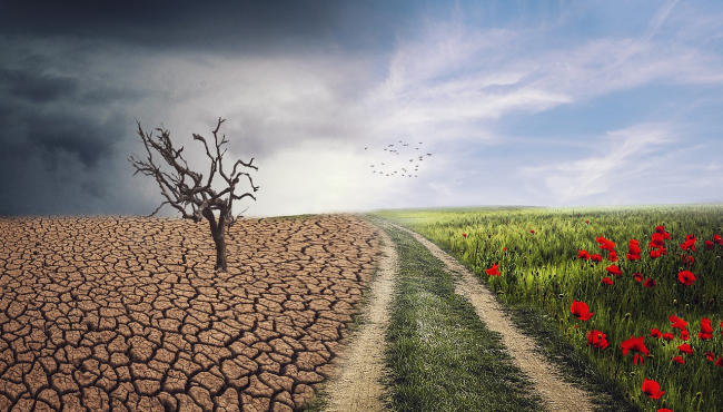 UN pozvala sve članice - "Podnesite klimatske izveštaje"