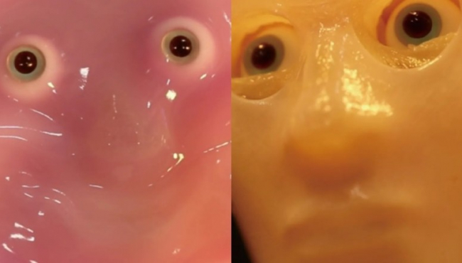 Japanski naučnici napravili nasmešenog robota sa licem od kože
