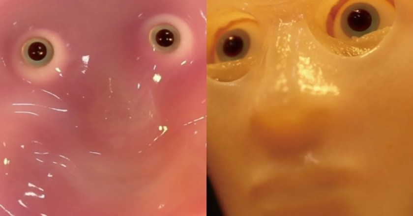Japanski naučnici napravili nasmešenog robota sa licem od kože