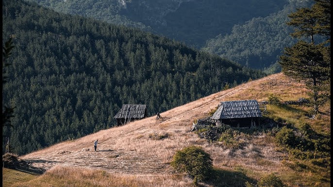 Proglašeno zaštićeno područje: Specijalni rezervat prirode Mojstirsko-Draške planine