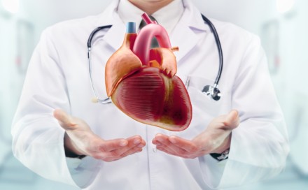 Novi uređaj zaviruje u krvne sudove: Naučnici prvi put testirali tehnologiju koja otkriva opasne naslage